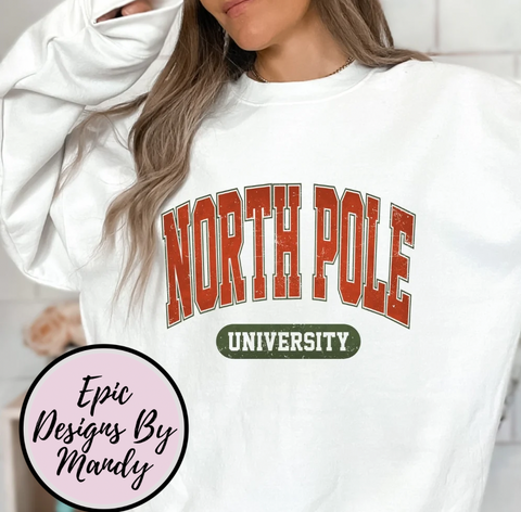 North Pole university