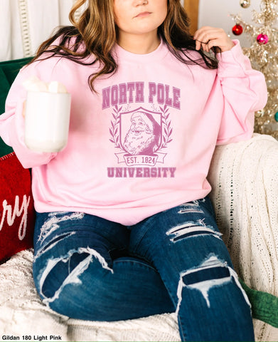 North Pole university